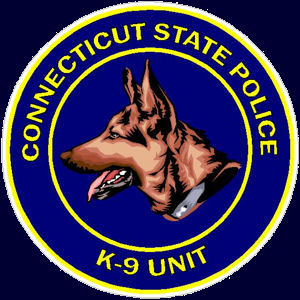 CSP K9 Unit patch (unofficial)
